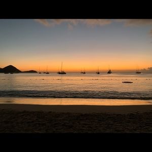 Meet your Posher, Rylie